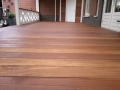 Veranda van Veranda Plaza in Den Haag (2)